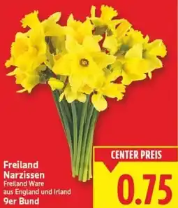 E-Center Freiland Narzissen Angebot