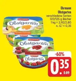 E-Center Ehrmann obstgarten Angebot