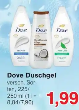 Wiglo Wunderland Dove Duschgel Angebot