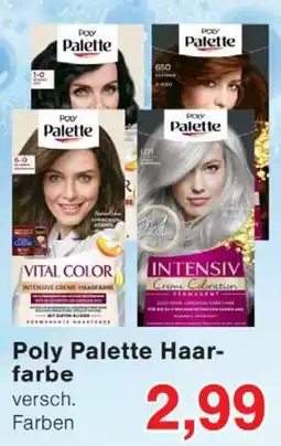 Wiglo Wunderland Poly Palette Haarfarbe Angebot