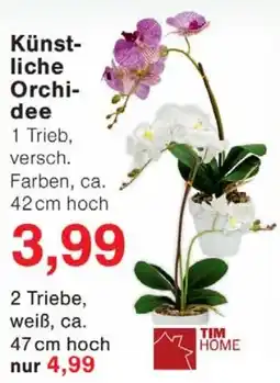 Wiglo Wunderland TIM HOME Künstliche Orchidee Angebot