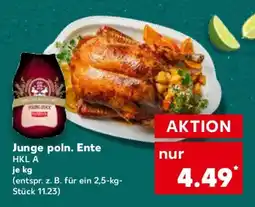 Kaufland Junge poln. Ente Angebot