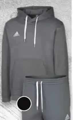 Kaufland Adidas Herren- Sweat-Hoodie oder -Hose Angebot
