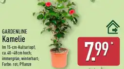 Aldi Nord GARDENLINE Kamelie Angebot