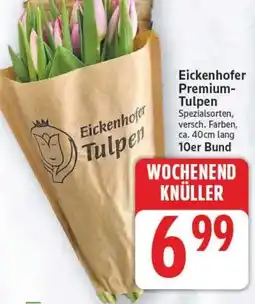 E-Center Eickenhofer Premium- Tulpen Angebot