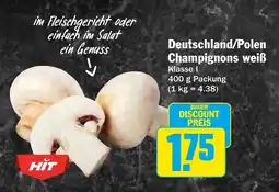 HIT Deutschland/Polen Champignons weiß Angebot