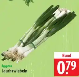 Famila Nord Ost Ägypten Lauchzwiebeln Angebot
