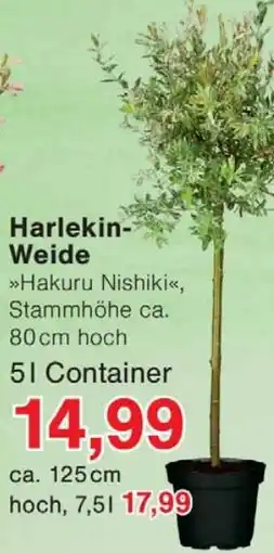 Wiglo Wunderland Harlekin Weide Angebot