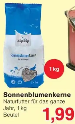 Wiglo Wunderland Sonnenblumenkerne Angebot