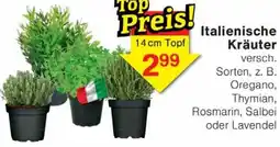 Wiglo Wunderland Italienische Kräuter Angebot