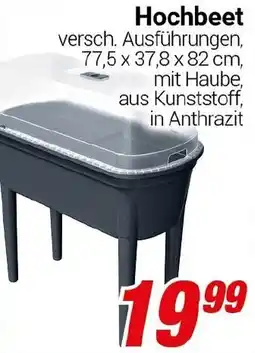 CENTERSHOP Hochbeet Angebot