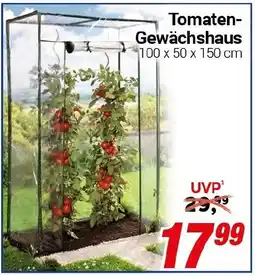 CENTERSHOP Tomaten Gewächshaus Angebot
