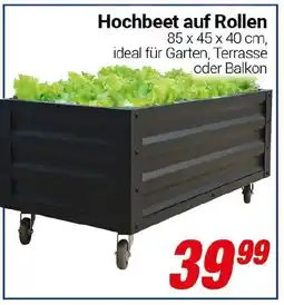 CENTERSHOP Hochbeet auf Rollen Angebot