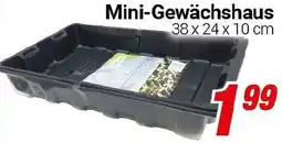 CENTERSHOP Mini-Gewächshaus Angebot
