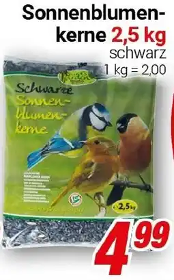 CENTERSHOP Bird's Garden Sonnenblumenkerne Angebot