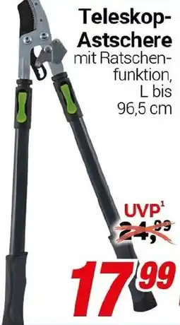 CENTERSHOP Teleskop Astschere Angebot