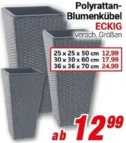 CENTERSHOP Polyrattan Blumenkübel ECKIG Angebot