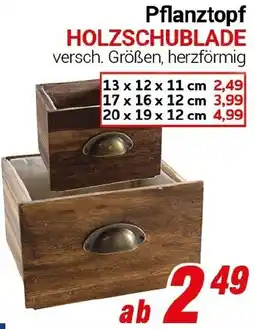 CENTERSHOP Pflanztopf HOLZSCHUBLADE Angebot