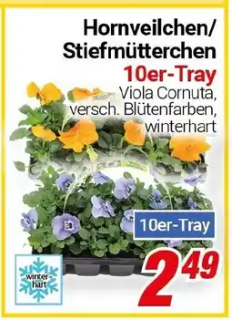 CENTERSHOP Hornveilchen/ Stiefmütterchen Angebot