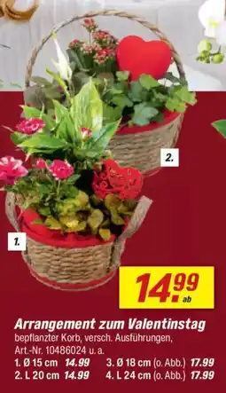 toom Baumarkt Arrangement zum Valentinstag Angebot
