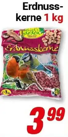 CENTERSHOP Bird's Garden Erdnusskerne Angebot