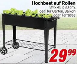 CENTERSHOP Hochbeet auf Rollen Angebot
