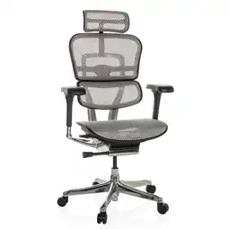 Netto Marken-Discount hjh OFFICE Luxus Chefsessel ERGOHUMAN GEN2 Netzstoff mit Armlehnen (höhenverstellbar) Angebot