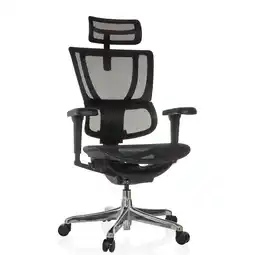 Netto Marken-Discount hjh OFFICE Luxus Chefsessel ERGOHUMAN SLIM ULTRA GEN2 Netzstoff mit Armlehnen (höhenverstellbar) Angebot