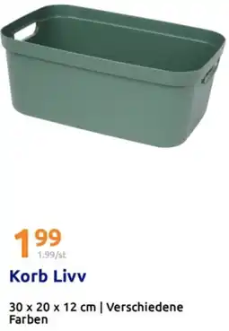 Action Korb Livv Angebot