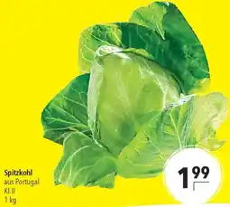 CITTI Markt Spitzkohl Angebot