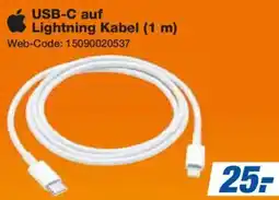 Expert Apple USB-C auf Lightning Kabel (1 m) Angebot