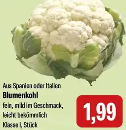 Feneberg Blumenkohl Angebot