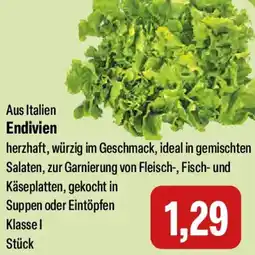 Feneberg Endivien Angebot