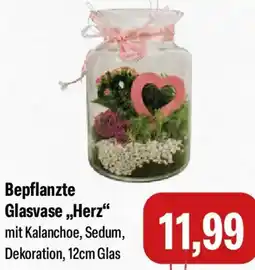 Feneberg Bepflanzte Glasvase ,,Herz" Angebot