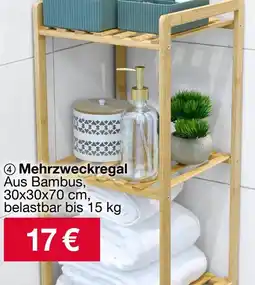 Woolworth Mehrzweckregal Angebot