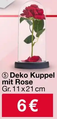 Woolworth Deko Kuppel mit Rose Angebot