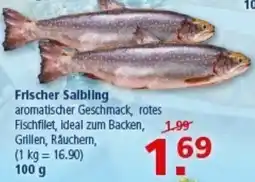 Multi Markt Frischer Salbling Angebot