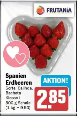 AEZ Spanien Erdbeeren Angebot
