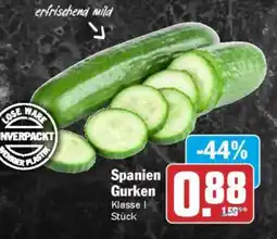 AEZ Spanien Gurken Angebot