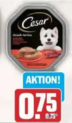 AEZ Cesar Hundefutter Angebot