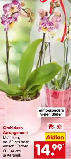 Netto Marken-Discount Orchideen Arrangement Angebot
