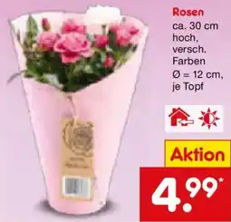 Netto Marken-Discount Rosen Angebot