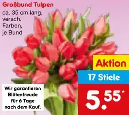 Netto Marken-Discount Großbund Tulpen Angebot