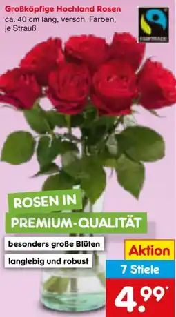 Netto Marken-Discount Großköpfige Hochland Rosen Angebot