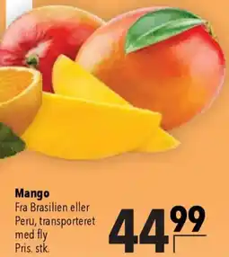 CITTI Markt Mango Angebot