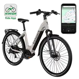 Netto Marken-Discount Tretwerk Amber E Bike Damen 28 Zoll Elektrofahrrad 155 - 185 cm Hollandrad grau 48 cm Angebot