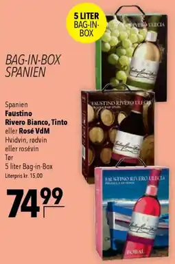 CITTI Markt Faustino Rivero Bianco, Tinto eller Rosé VdM Angebot