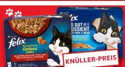 Kaufland Purina Felix Katzennahrung Angebot