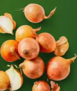 Kaufland K-Bio Bio-Zwiebeln Angebot