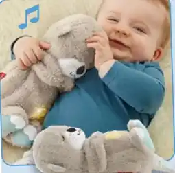 Kaufland Fisher Price Schlummer-Spieluhr Otter Angebot